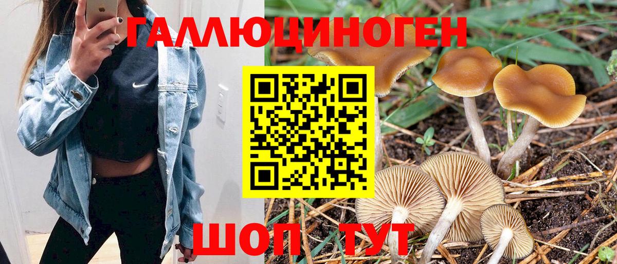 наркотики  Вход с VPN  Ачинск  Галлюциногенные грибы Cubensis  Галлюциногенные грибы MAGIC MUSHROOMS 